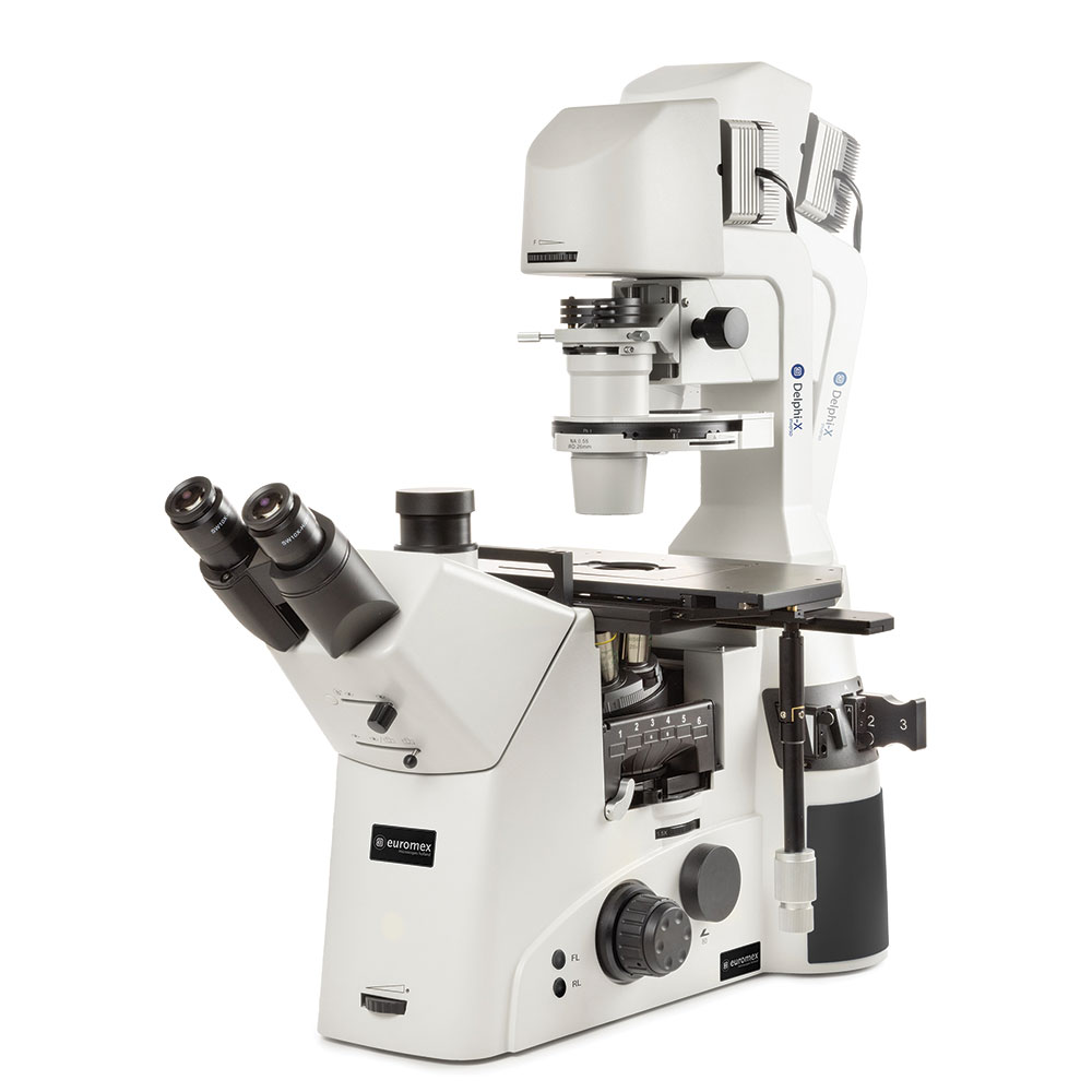 Globe Scientific Trinocular Delphi-X Inverso inverted microscope with WF10x/25mm eyepieces and Semi Apochromatic Plan Phase Fluarex Apo-PLPHFi 10x/20x/S40x IOS objectives with 6-positions nosepiece. Rotating disc for phase contrast and DIC prepared. 6-positions fluorescence filters turret without filters or cubes. Transmitted 10W NeoLED adjustable illumination Microscope;Trinocular;Inverted;WF;